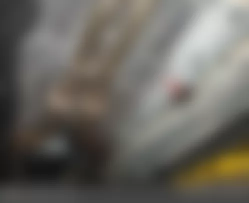 Mercedes-Benz S600 2010 - Component Locations -  Under Center Of Vehicle