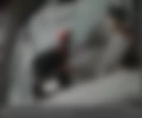 Mercedes-Benz S600 2010 - Component Locations -  Left Side Of Trunk