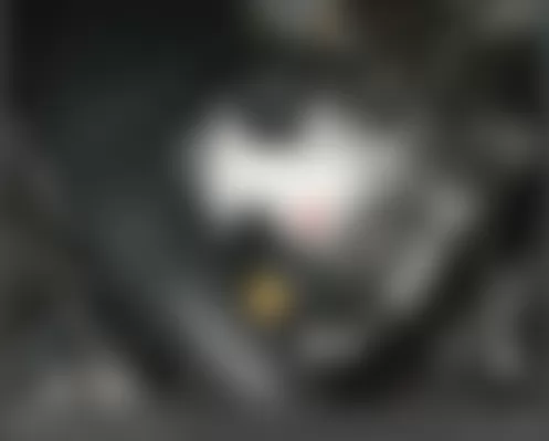 Mercedes-Benz S65 2010 - Component Locations -  Right Front Of Engine