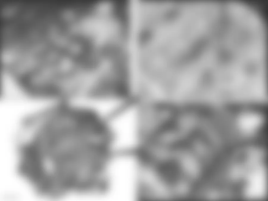 Mercedes-Benz SLK350 2010 - Component Locations -  Engine