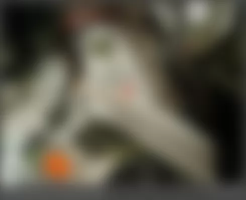 Mercedes-Benz SLK350 2010 - Component Locations -  Right Side Of Trunk