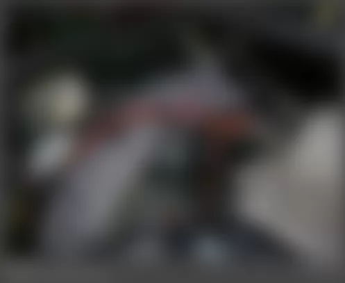 Mercedes-Benz SLK55 2010 - Component Locations -  Left Side Of Trunk